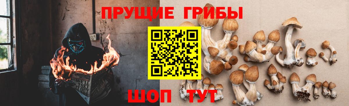 Конаково  Псилоцибиновые грибы Magic Shrooms  Вход с VPN 